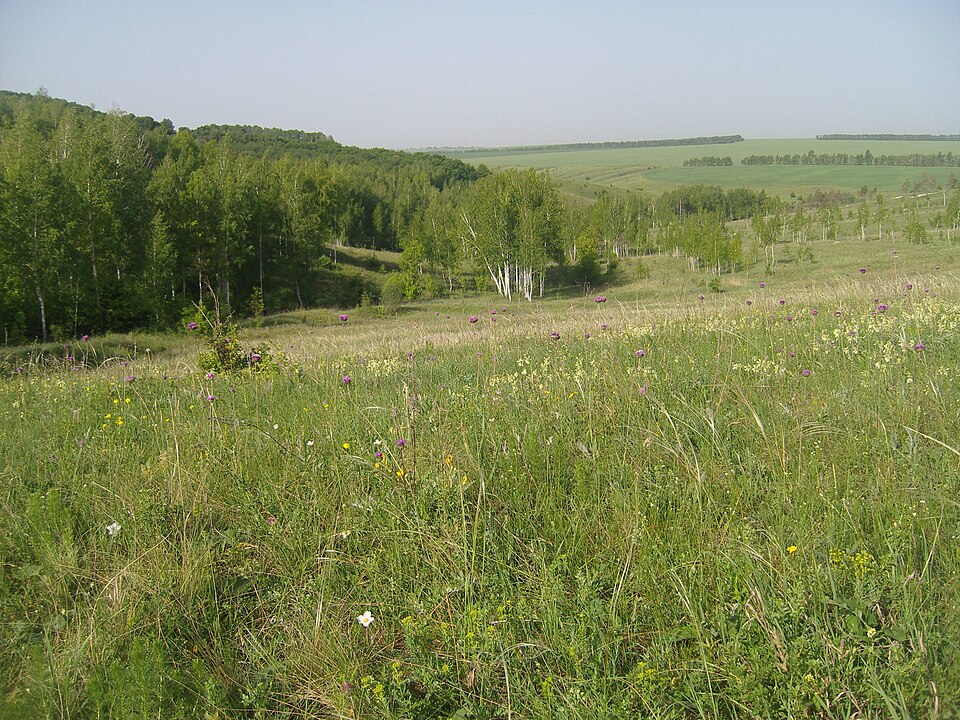 File:Лысые горы 06.JPG