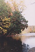 Thumbnail for version as of 14:38, 8 April 2023