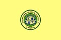 Flag of San Agustín Acasaguastlán
