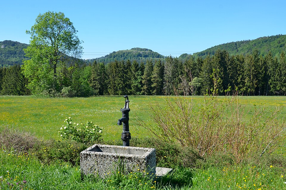 File:Biotop Nasswiesen östlich Gewann Ziegel, Tieringen.jpg
