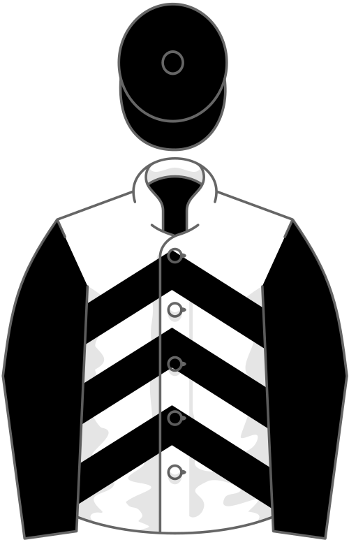 File:Owner Infinity Nine Horses.svg