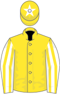 Yellow, white and yellow striped sleeves, yellow cap, white star