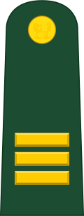 File:Peru-Army-OF-2.svg