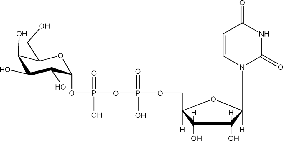 File:UDPGal.png