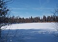 Wurzacher Ried