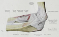 Thumbnail for version as of 07:40, 2 December 2013