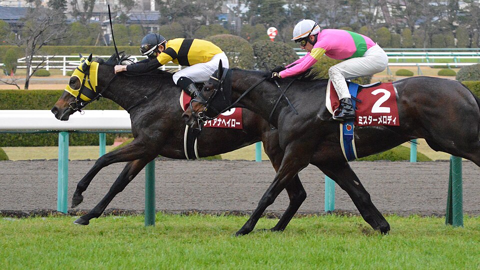 File:Diana Halo Hanshin Cup 2018(IMG1).jpg