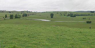Livestock grazing country, Irish Town, Walcha.