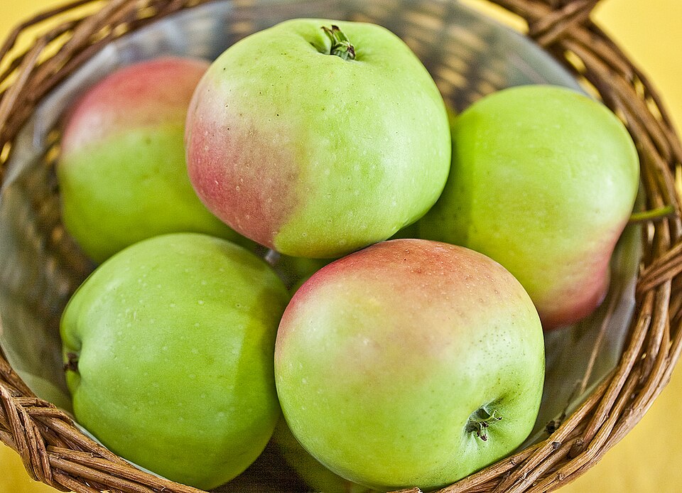 File:Malus Minister von Hammerstein 4418.jpg