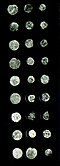 Image 7Mogadishan currency – The Sultanate of Mogadishu was an important monetary supporter of Adal. (from History of Somalia)