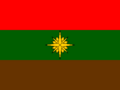 Flag of Rómulo Gallegos Municipality