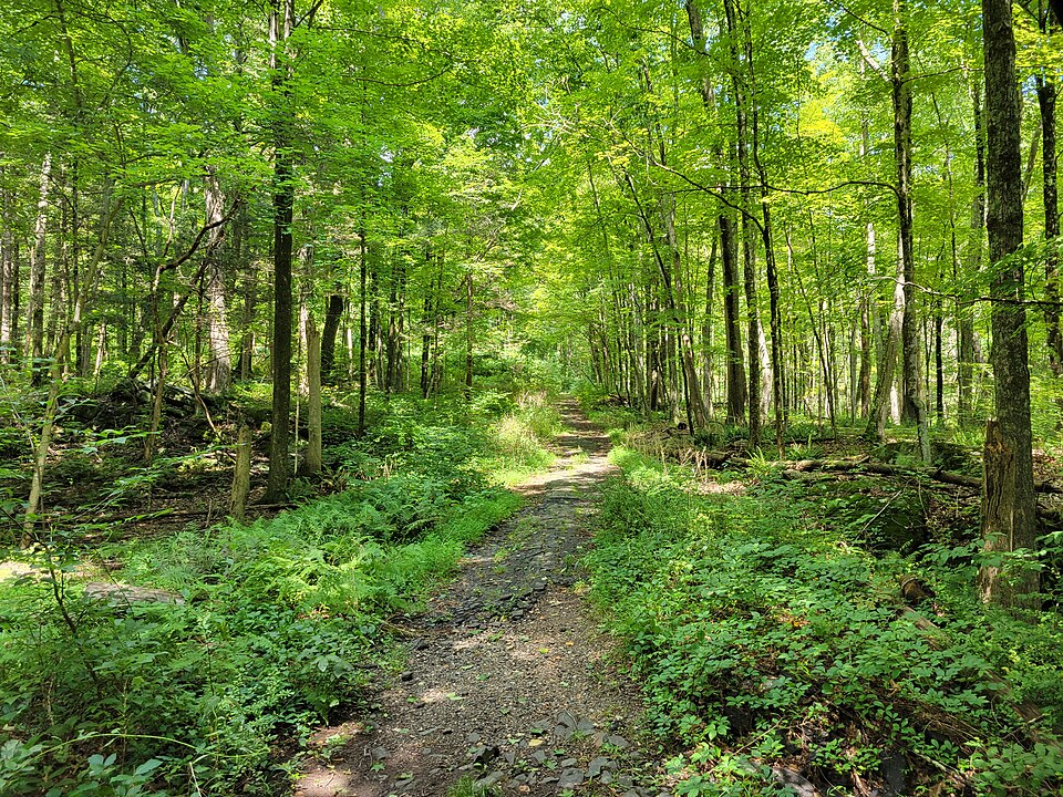 File:Clarkhurst Road, Haddam Neck CT.jpg