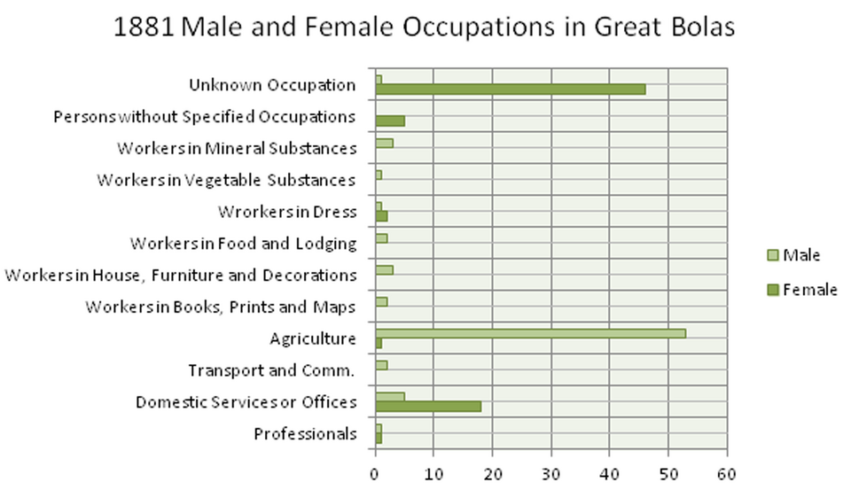 File:Great Bolas Occupational Structure in 1881.png