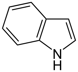 File:Indol2.svg