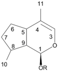 Thumbnail for version as of 06:51, 11 June 2009