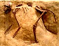 Thumbnail for version as of 15:50, 23 May 2008
