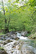 River Povlen, Middle Povlen