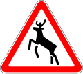 1.25 Deer ahead
