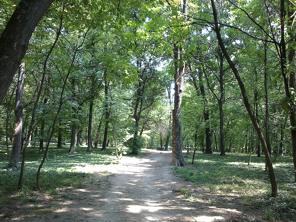 File:Sumice2 (2).jpg