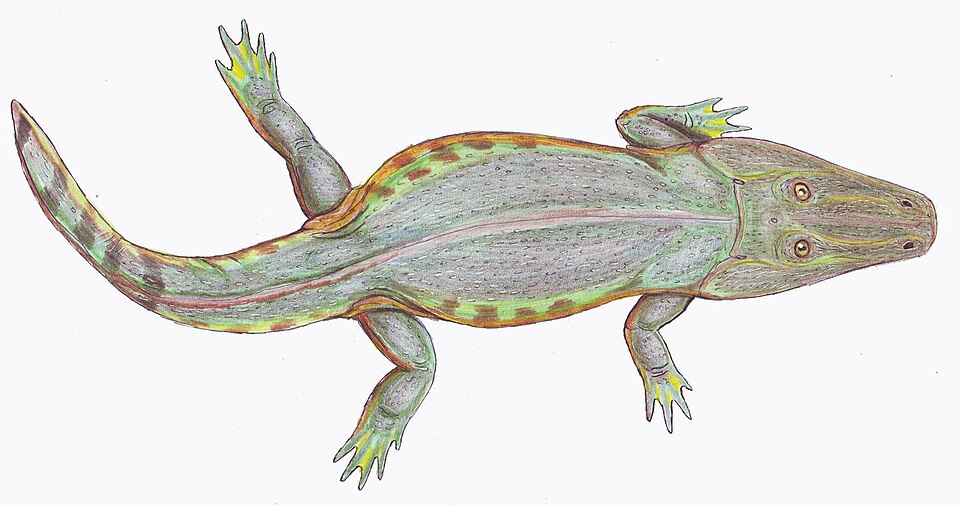 File:Tryphosuchus1DB.jpg