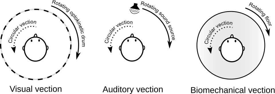 File:Vection diagram.svg