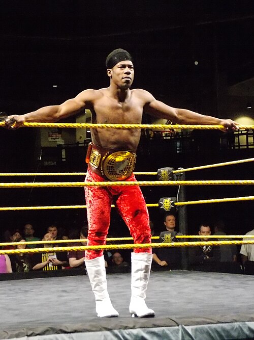 File:Velveteen Dream - 2019-04-25 - 03.jpg