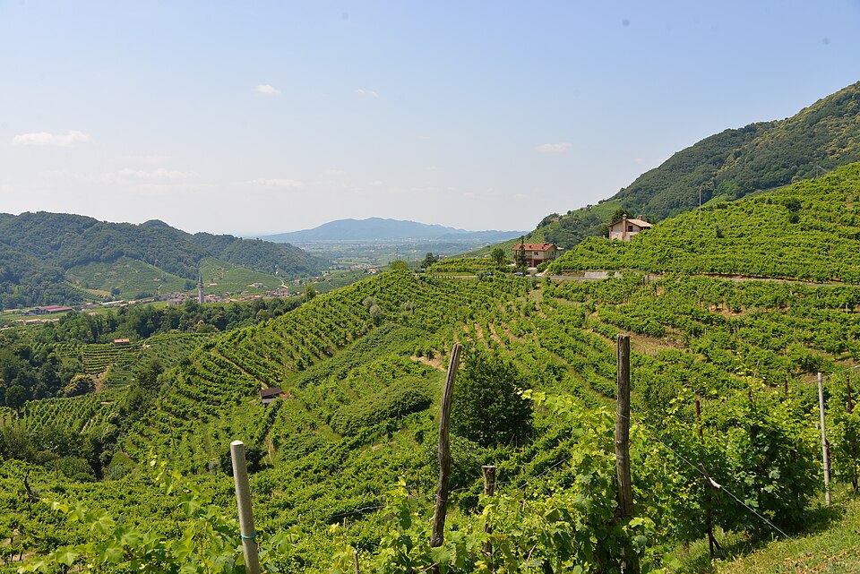 File:Vista da Santo Stefano Valdobbiadene.jpg
