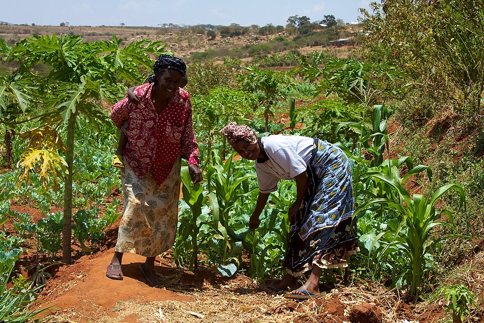 File:Women smallholder farmers in Kenya.jpg
