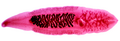 Thumbnail for version as of 10:01, 8 July 2016
