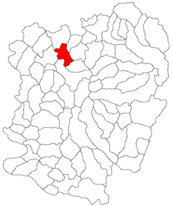 Location in Caraș-Severin County