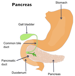 New SVG image