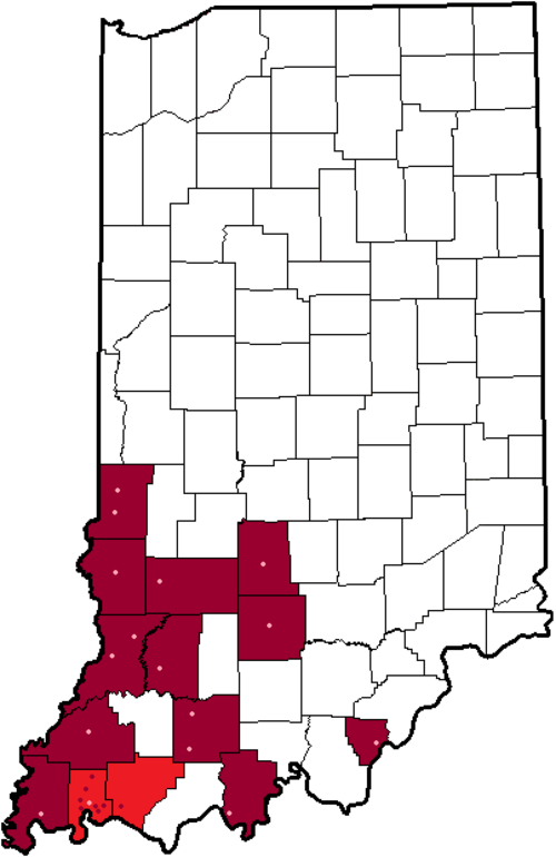 File:Indiana (SIAC).png