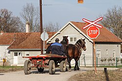 Village of Kukici, City of Cacak, Serbia.