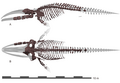Thumbnail for version as of 08:02, 21 August 2025