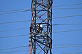 Thumbnail for version as of 15:22, 17 August 2008