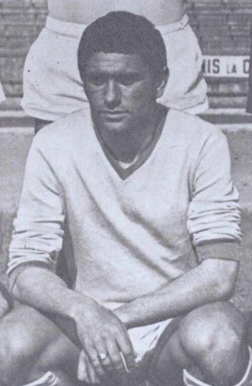 File:Nicolae Ivan 1969.jpg