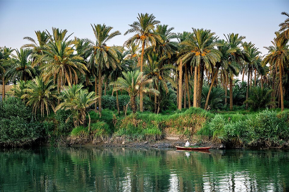 File:قضاء الشامية ..الشط الرئيسي.jpg