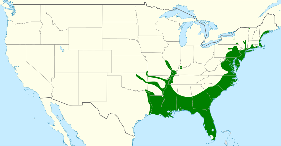 File:Corvus ossifragus map.svg
