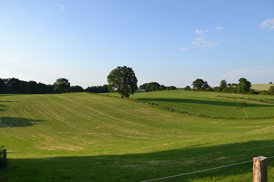 File:Fotoausflug Kiel - Westensee 2020-06-62.jpg