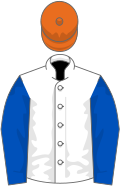 White, dark blue sleeves, orange cap