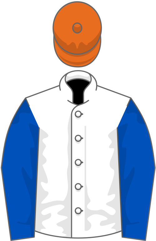 File:Owner Horst Rapp.svg
