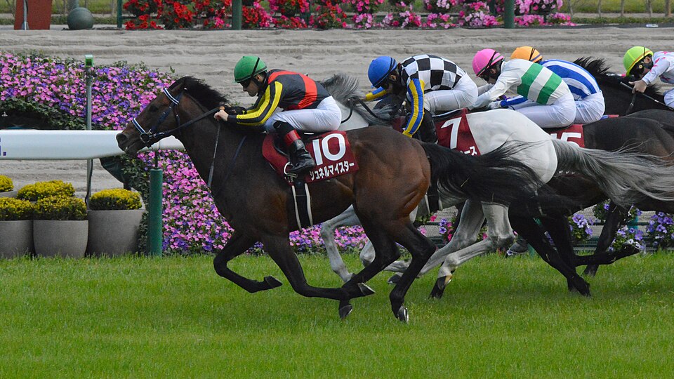 File:Schnell Meister Yomiuri Milers Cup 2023(IMG1).jpg