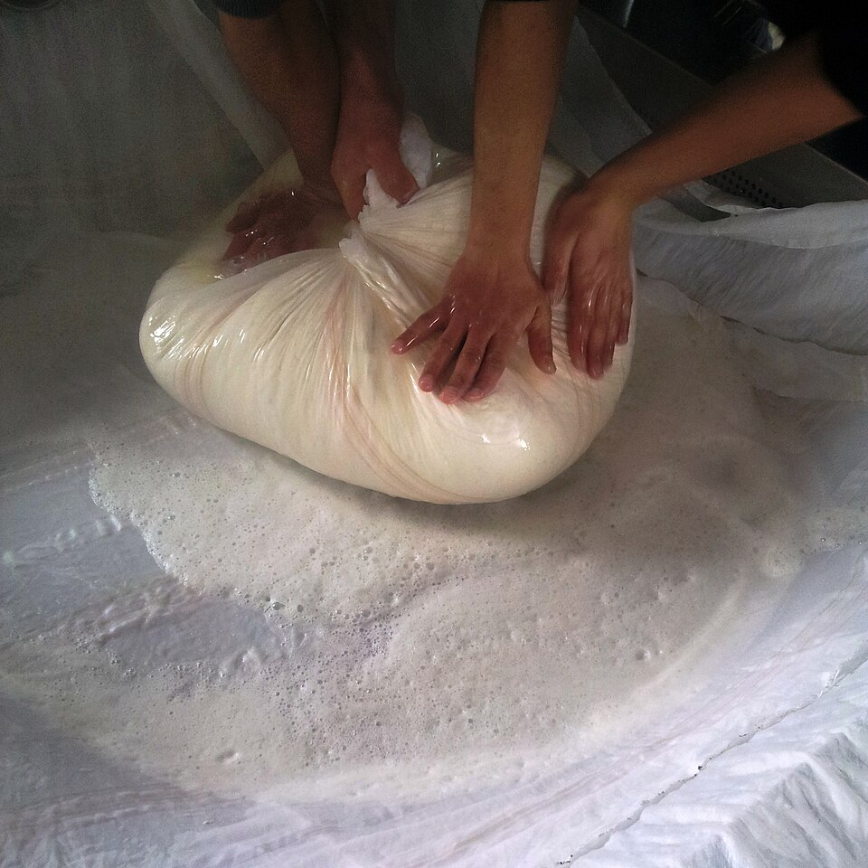 File:Sharri Cheese being compressed.jpg