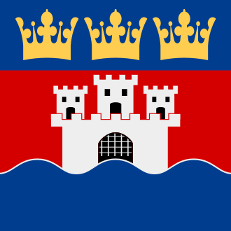 File:Jönköpings län vapenflagga.svg