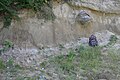 Lipovianske Sandstones