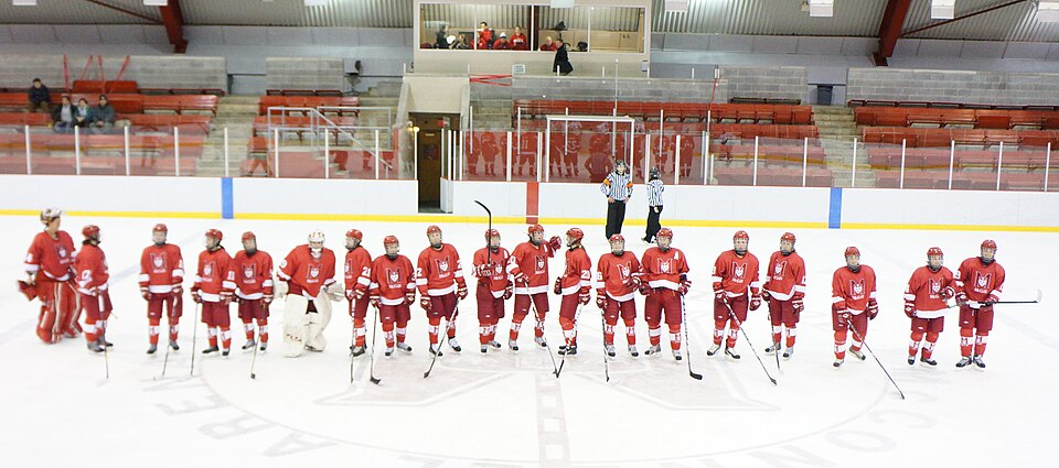 File:McGill Martlets 18 janvier 2011 184.jpg