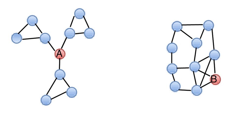 File:Network Structure.jpg