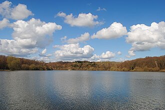 A lake surrounded by trees