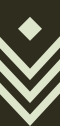 Staff sergeant(Seychelles Infantry Unit)