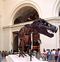 Tyrannosaurus rex
